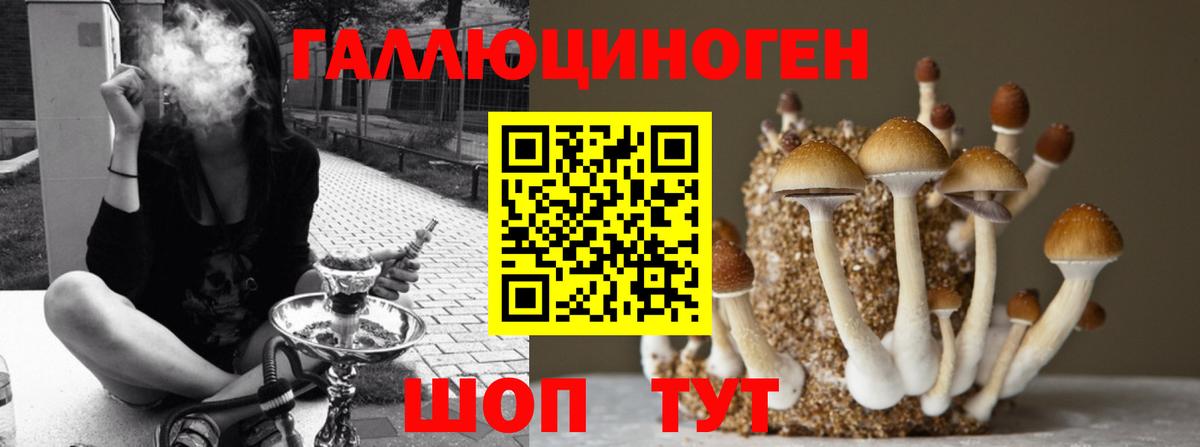 Псилоцибиновые грибы MAGIC MUSHROOMS  Галлюциногенные грибы ЛСД  Вход с VPN  Орск 
